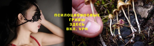 ECSTASY Алзамай
