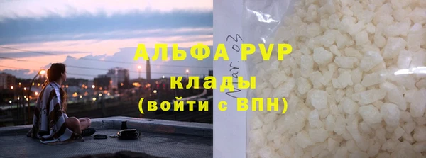 ECSTASY Алзамай