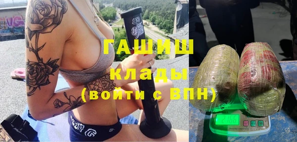 ECSTASY Алзамай