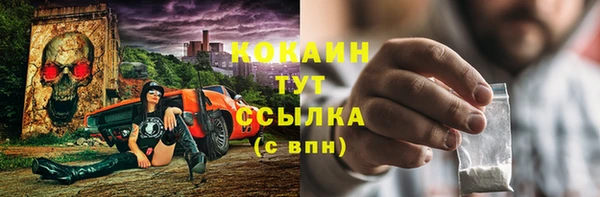 ECSTASY Алзамай