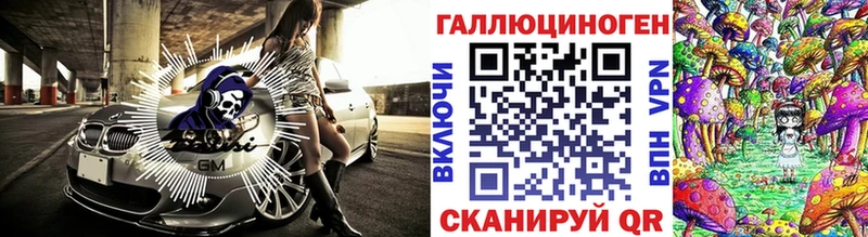 Псилоцибиновые грибы Psilocybe  Новомичуринск 